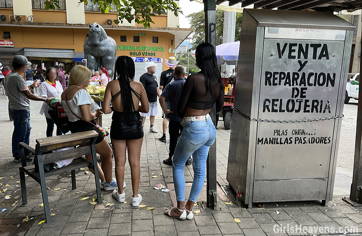 Medellin Travestis
