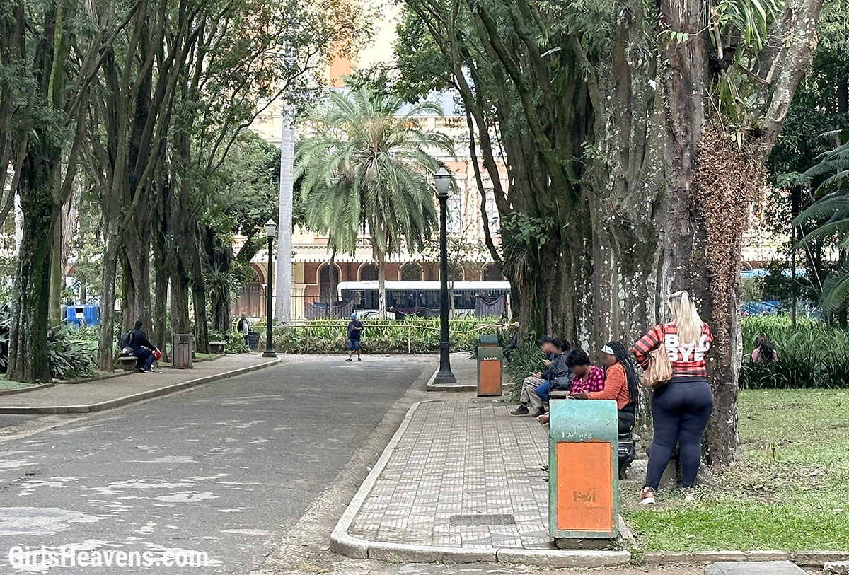 Parque Jardim da Luz Sao Paulo